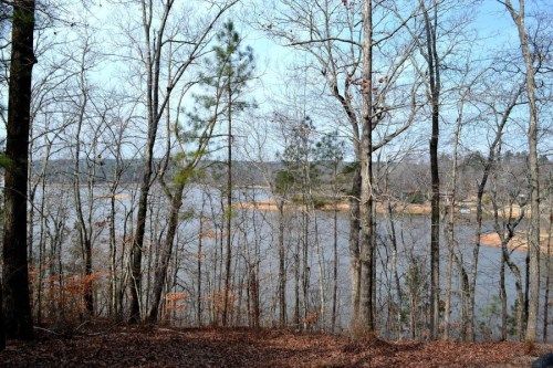 Lot 11 Shady Ridge Circle, Alexander City, AL 35010