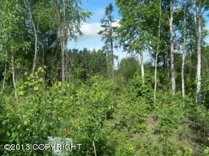 12613 S Knik Goose Bay Road, Wasilla, AK 99654