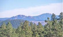 8 Pine Valley Road Pine, CO 80470