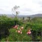 2627 Jalna, Fallbrook, CA 92028 ID:2047854