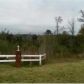 Lot 35 Phase III County Road 558Bridlewood Farms, Enterprise, AL 36330 ID:3969807