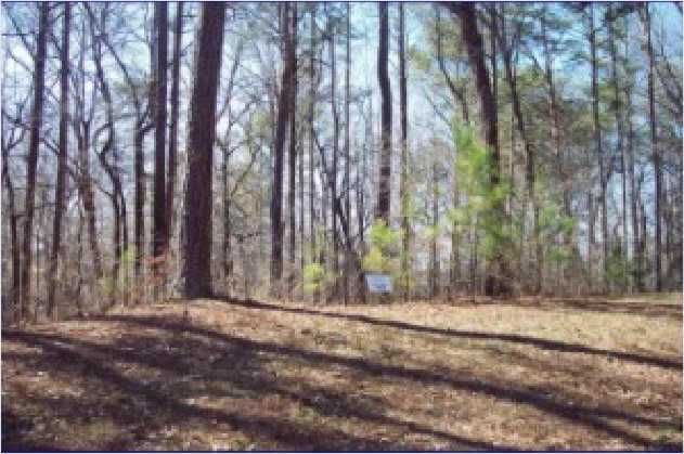 0 Mountain Creek Hollow Drive, Talking Rock, GA 30175