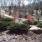 0 Mountain Creek Hollow Drive, Talking Rock, GA 30175 ID:2445361