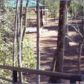 0 Mountain Creek Hollow Drive, Talking Rock, GA 30175 ID:2445362