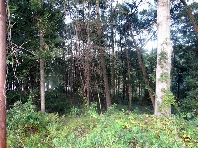 Lot 18 & 19 High Bluff, Enterprise, AL 36330