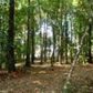 Lot 18 & 19 High Bluff, Enterprise, AL 36330 ID:1786966