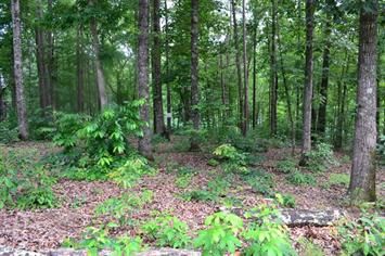 Lot 95 Keowee Falls South Town  Apn, Salem, SC 29676