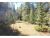 4 Pine Valley Road Pine, CO 80470