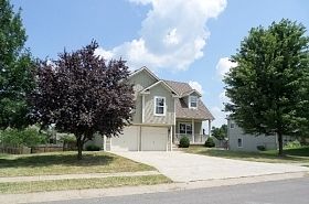 Pecan Tree, Lone Jack, MO 64070