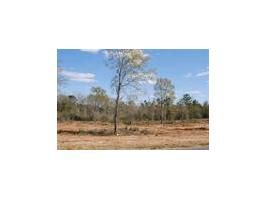 Lot 16 County Road 539, Enterprise, AL 36330