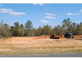 Lot 14 County Road 539, Enterprise, AL 36330