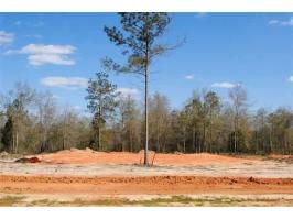 Lot 7 County Road 539, Enterprise, AL 36330