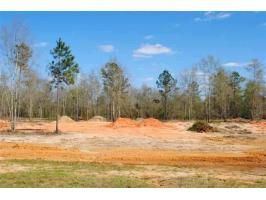 Lot 2 County Road 539, Enterprise, AL 36330