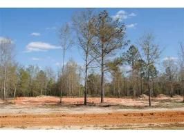 Lot 3 County Road 539, Enterprise, AL 36330