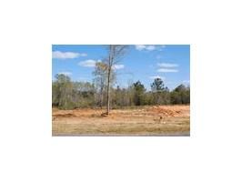 Lot 15 County Road 539, Enterprise, AL 36330