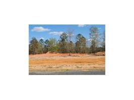 Lot 12 County Road 539, Enterprise, AL 36330