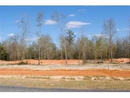 Lot 4 County Road 539, Enterprise, AL 36330