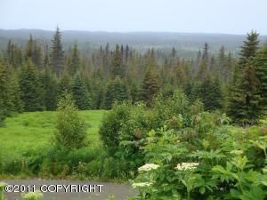 L19 Endless View Loop, Homer, AK 99603