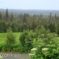 L19 Endless View Loop, Homer, AK 99603 ID:6886575