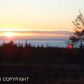 L19 Endless View Loop, Homer, AK 99603 ID:6886576