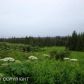 L29 Endless View Loop, Homer, AK 99603 ID:6886560