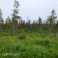 L19 Endless View Loop, Homer, AK 99603 ID:6886577