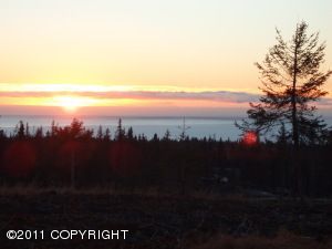 L20 Endless View Loop, Homer, AK 99603