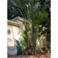 2426 TEQUESTA LN, Miami, FL 33133 ID:747773