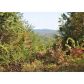 1000 Cowart Mountain Trail, Waleska, GA 30183 ID:2832655