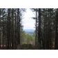 1000 Cowart Mountain Trail, Waleska, GA 30183 ID:2832658