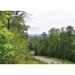 1000 Cowart Mountain Trail, Waleska, GA 30183 ID:2832662