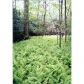 13 Tanager Trail, Ellijay, GA 30536 ID:6483686