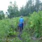 Tract 2 Clear Sight Avenue, Homer, AK 99603 ID:6968395