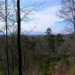 35 Henderson Lane, Mineral Bluff, GA 30559 ID:6818453