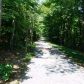 551 Cowart Mountain Trail, Waleska, GA 30183 ID:5381655