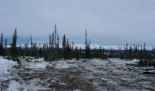 L9 B16 Snowshoe Road Homer, AK 99603