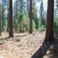 189-190 Smith Lake Road, Blairsden Graeagle, CA 96103 ID:3873309