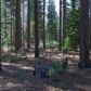 189-190 Smith Lake Road, Blairsden Graeagle, CA 96103 ID:3873310