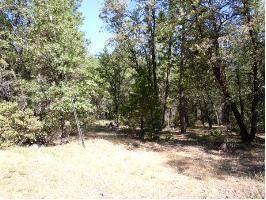 2489 Secluded Valley Road, Greenville, CA 95947