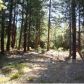 2489 Secluded Valley Road, Greenville, CA 95947 ID:1136803