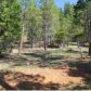 1264 Williams Valley Road, Greenville, CA 95947 ID:1136813