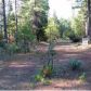 1264 Williams Valley Road, Greenville, CA 95947 ID:1136820