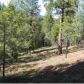 1264 Williams Valley Road, Greenville, CA 95947 ID:1136821