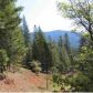 1264 Williams Valley Road, Greenville, CA 95947 ID:1136822