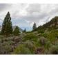 11950 Twin Lakes Road, Bridgeport, CA 93517 ID:1140337