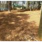 4728 Ben Hill Drive, Oakwood, GA 30566 ID:6392785