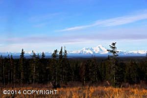 L5 Endless View Loop, Homer, AK 99603