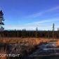 L5 Endless View Loop, Homer, AK 99603 ID:6940825