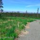 L5 Endless View Loop, Homer, AK 99603 ID:6940833