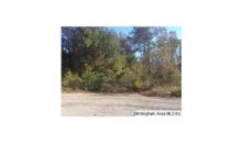 22860 CHARLES COLLIER LN LOT 5 Mc Calla, AL 35111